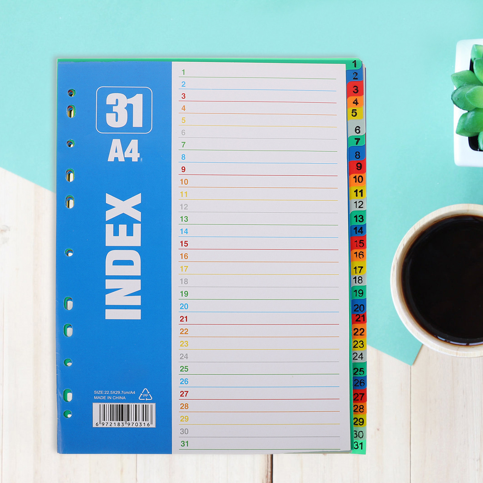 ชุด 1 ชุด แผ่นแบ่งหน้าพลาสติก  - Tab Divider A4 บทวิจารณ์และราคา